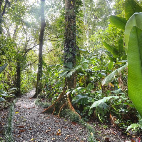 The best in nature of Costa Rica