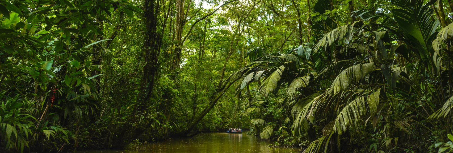 Tortuguero Canals in Costa Rica