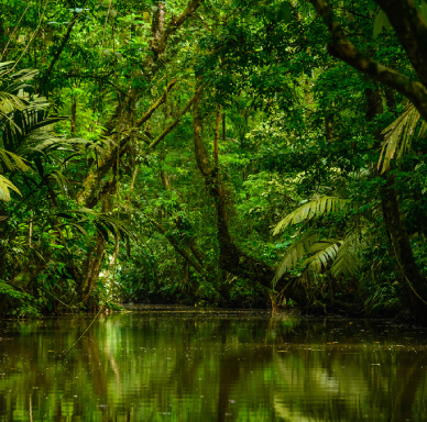 Tourism in Costa Rica